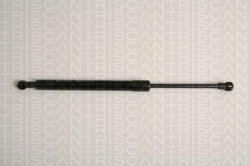 Triscan Gasfeder BMW 1er Cabrio Coupe [E82;E88] Kofferraum/Heckklappe hinten 871011230